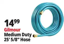 Ocean State Job Lot Gilmour Medium Duty 25' 5/8 Hose offer