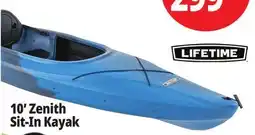 Ocean State Job Lot Lifetime Zenith 10' Sit-In Kayak offer