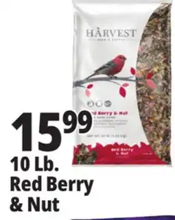 Ocean State Job Lot 10 Lb. Red Berry & Nut offer
