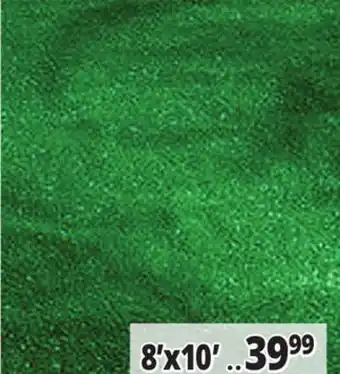 Ocean State Job Lot All-Weather Green Artificial Grass 8' x 10' offer