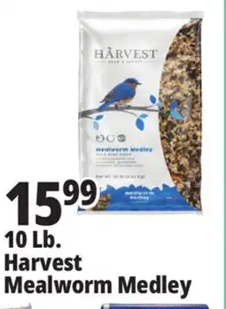 Ocean State Job Lot Harvest Mealworm Medley offer