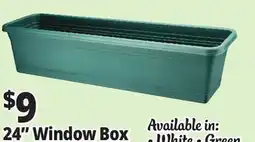 Ocean State Job Lot 24 Window Box offer