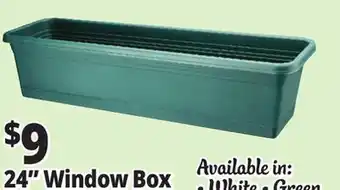 Ocean State Job Lot 24 Window Box offer