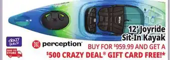 Ocean State Job Lot Perception Joyride 12.0 Recreational Kayak Deja Vu offer