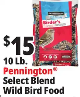 Ocean State Job Lot 10 Lb. Pennington Select Blend Wild Bird Food offer