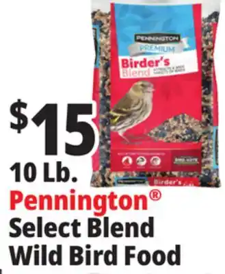Ocean State Job Lot 10 Lb. Pennington Select Blend Wild Bird Food offer