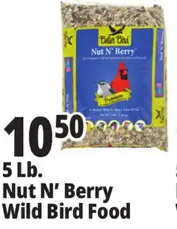 Ocean State Job Lot Better Bird Premium Nut N' Berry Bird Food 5 lbs offer