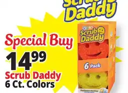 Ocean State Job Lot Scrub Daddy offer