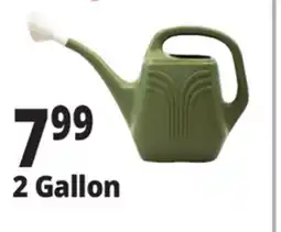 Ocean State Job Lot Watering Cans offer