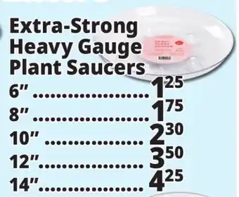 Ocean State Job Lot Extra-Strong Heavy Gauge Plant Saucers offer