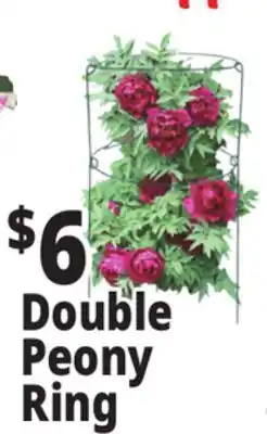 Ocean State Job Lot Peony Double Ring Plant Support 18 x 36 offer