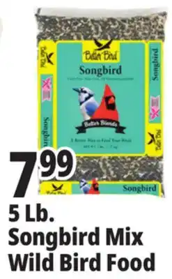 Ocean State Job Lot Better Bird Songbird Better Blends Food 5 lbs offer