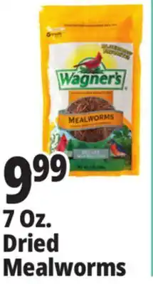 Ocean State Job Lot Dried Mealworms offer