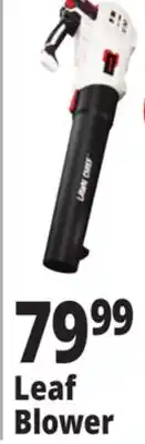 Ocean State Job Lot Leaf Blower offer