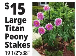 Ocean State Job Lot Tiller & Rowe Large Titan Peony 3-Ring Plant Support 38 offer