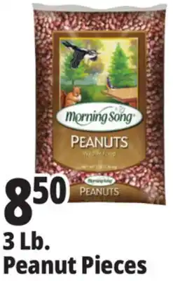 Ocean State Job Lot 3 Lb. Peanut Pieces offer