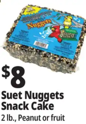 Ocean State Job Lot Suet Nuggets Snack Cake offer