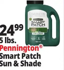 Ocean State Job Lot Pennington Smart Patch Grass Seed Fertilizer Mulch 5 lbs offer