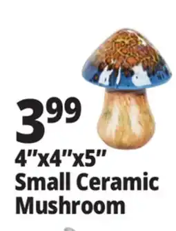 Ocean State Job Lot Small Ceramic Mushroom Assorted offer