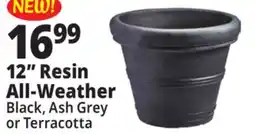 Ocean State Job Lot 12 Resin All-Weather offer