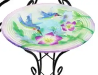 Ocean State Job Lot Hummingbird Glass Bird Bath with Metal Stand 18 offer