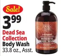 Ocean State Job Lot Dead Sea offer