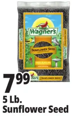 Ocean State Job Lot Wagner's Black Oil Sunflower Seed Wild Bird Food 5 lbs offer