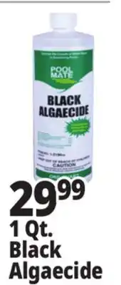 Ocean State Job Lot Black Algaecide offer