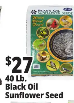 Ocean State Job Lot Black Oil Sunflower Seeds 40 lbs offer