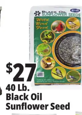 Ocean State Job Lot Black Oil Sunflower Seeds 40 lbs offer
