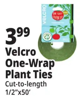 Ocean State Job Lot Velcro One-Wrap Plant Ties offer