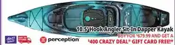 Ocean State Job Lot Perception Hook Angler 10.5 Kayak Dapper offer
