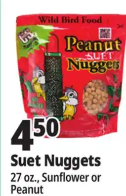 Ocean State Job Lot C&S Sunflower Suet Nuggets offer