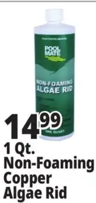 Ocean State Job Lot Pool Mate Non-Foaming Algae Rid 1 Qt offer