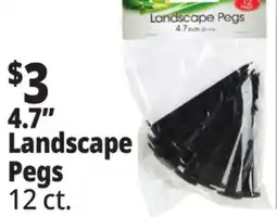 Ocean State Job Lot Tiller & Rowe Landscape Pegs 12 Count offer