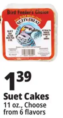 Ocean State Job Lot Bird Feeder's Choice Nutty Treat Suet 11 oz offer