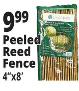 Ocean State Job Lot Gardenpath Peeled and Polished Reed Fencing 4 x 8' offer