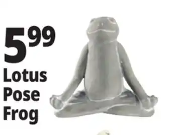 Ocean State Job Lot Stone Frog Statue offer