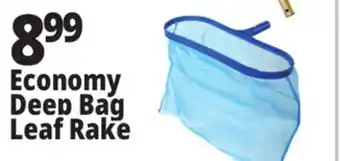 Ocean State Job Lot SwimWorks Economy Deep Bag Leaf Rake offer