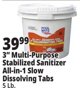 Ocean State Job Lot Pool Mate All-In-One 3 Chlorinating Tabs 5 lbs offer