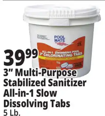 Ocean State Job Lot Pool Mate All-In-One 3 Chlorinating Tabs 5 lbs offer