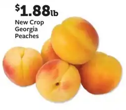 Fareway New Crop Georgia Peaches offer