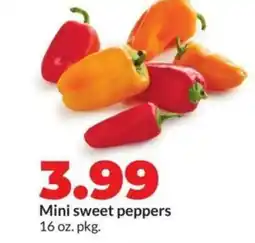 Hy-Vee Mini sweet peppers offer