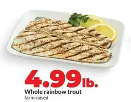 Hy-Vee Whole rainbow trout farm raised offer