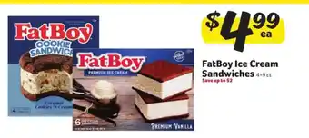 Winn Dixie FatBoy Ice Cream Sandwiches offer