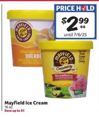 Winn Dixie Mayfield Ice Cream offer