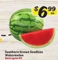 Winn Dixie Southern Grown Seedless Watermelon offer