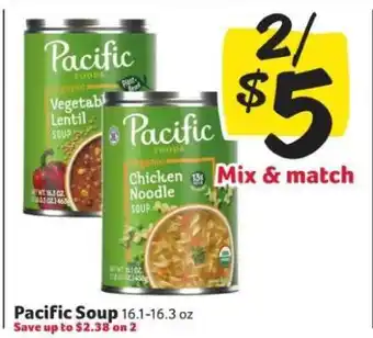 Winn Dixie Pacific Soup offer