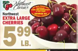 Bravo Supermarkets EXTRA LARGE CHERRIES offer