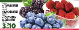 Bravo Supermarkets STRAWBERRIES OR BLACKBERRIES,BLUEBERRIES offer